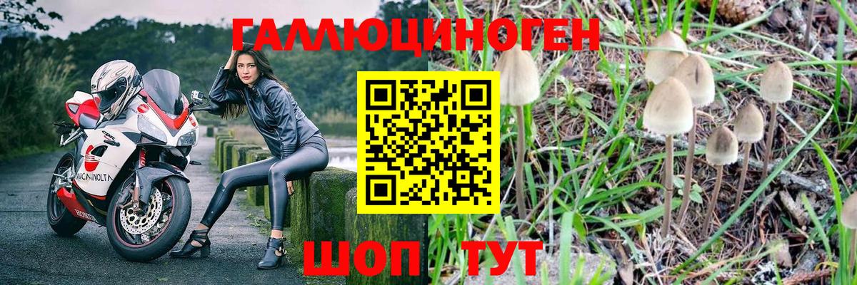 Череповец  Псилоцибиновые грибы Psilocybe  Псилоцибиновые грибы MAGIC MUSHROOMS  Вход с VPN 