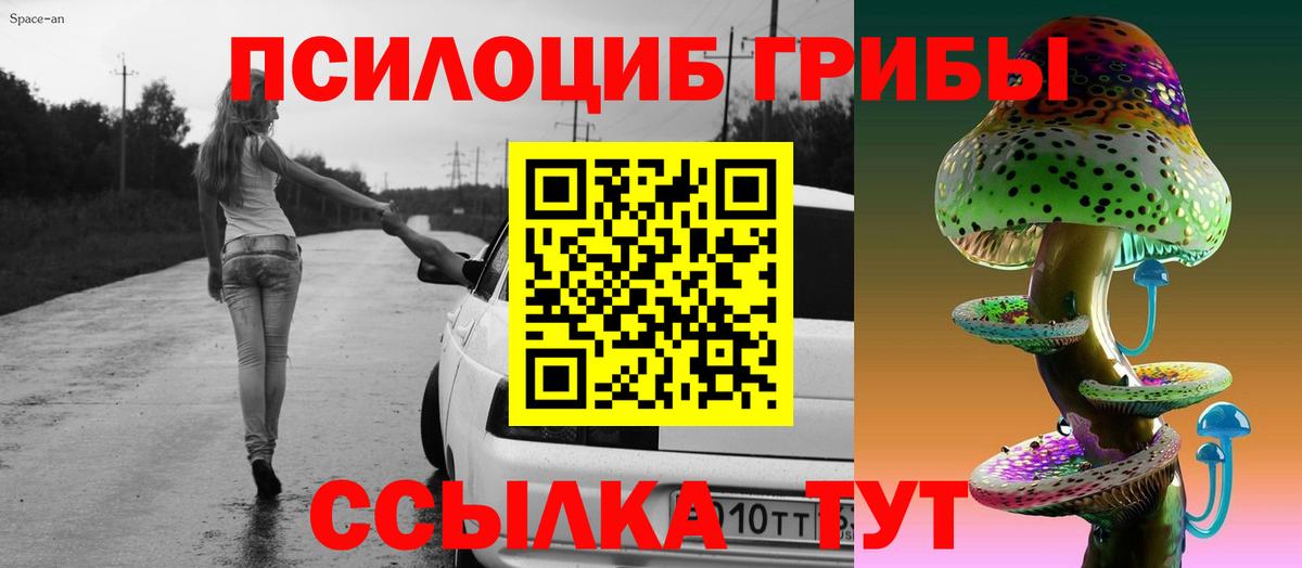 Псилоцибиновые грибы мухоморы Череповец